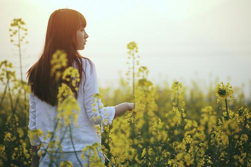 季然陈斯沂小说 季然陈斯沂免费全文阅读