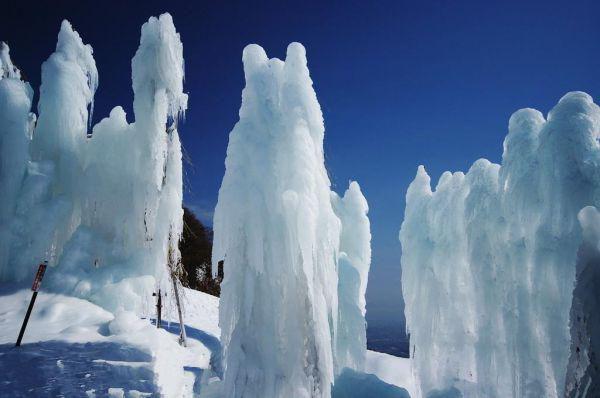 顾雪樱叶青松是哪部小说的主角 顾雪樱叶青松全文阅读