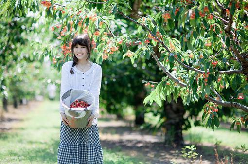 偏我来时不逢春，去时花满路(季知节叶曼曼)无弹窗阅读