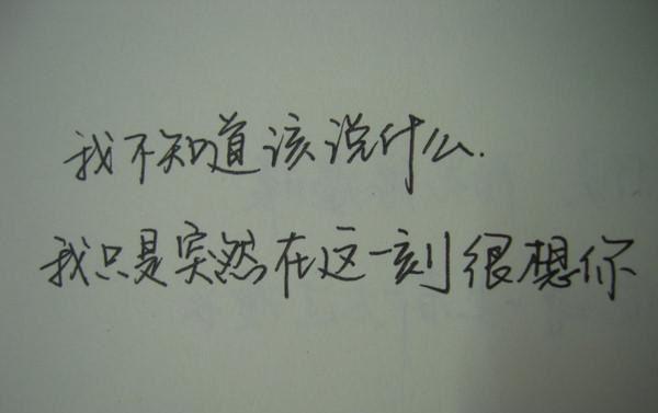 当恶意系统绑定女配后(乐游)小说最新章节