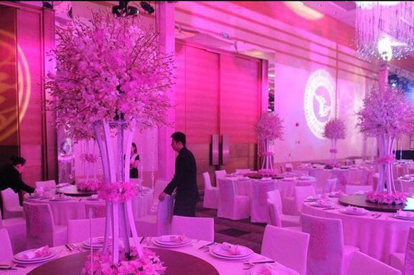 缝补错位人生：傅云琛乔洛颜推荐完本_已完结缝补错位人生：（傅云琛乔洛颜）