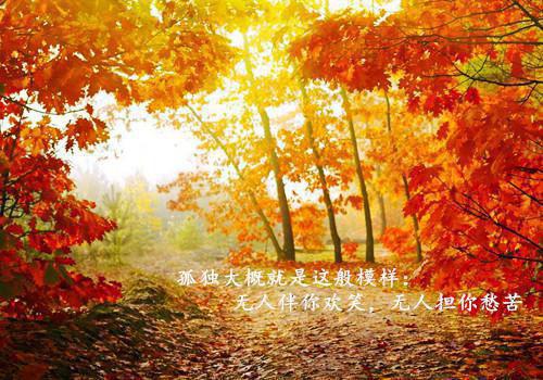 沈青禾霍沉洲全文免费阅读最新 沈青禾霍沉洲第十二章