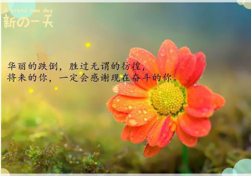 丈夫将我的人体雕像公开展出后，我离婚了免费无弹窗 云浅舟林月诗小说阅读