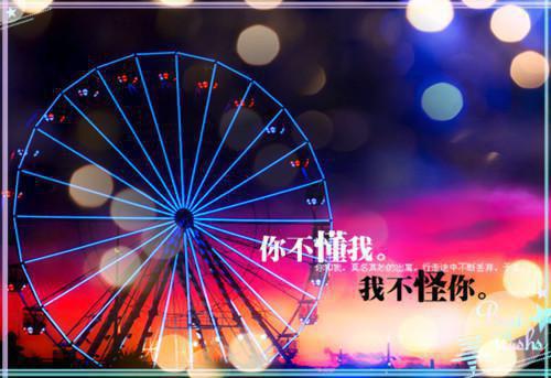 沈清琦姜自祈小说最后结局 沈清琦姜自祈完结版免费阅读