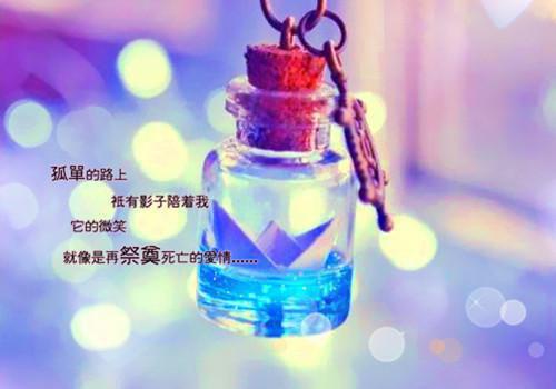 季知芸聿寒洲是哪部小说的主角 季知芸聿寒洲全文阅读