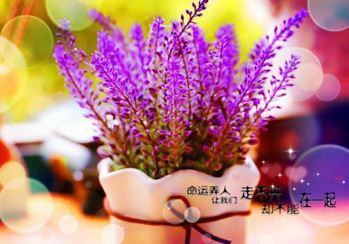 王伦岳飞免费全文 王伦岳飞小说在线阅读