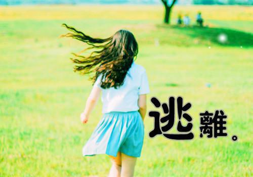 一梦近欢情全文小说江岫白小说在线阅读