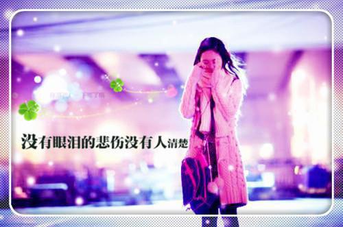 万盈谢谦《赛罗是只猫》小说在线阅读