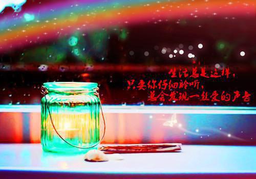 亡妻留给我的遗物，我却亲手将它烧毁周珂沈寒川完结小说全文在线阅读