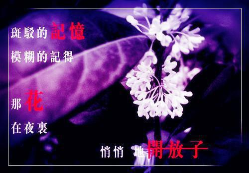 苏晴完整未删减版在线阅读 苏晴结局