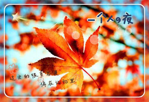 爸妈将我的记忆清除后，终于知道爱我顾瑶顾婉by喵呜帕