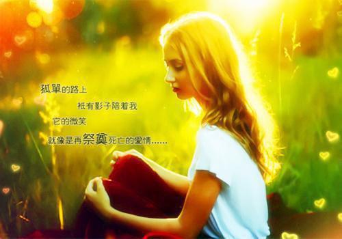 温叙白苏烟小说 温叙白苏烟免费全文阅读