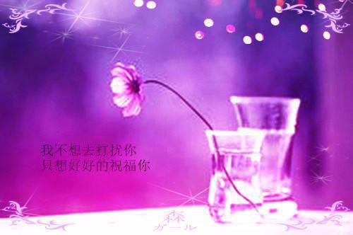 《沈执野乔疏晚小说》无弹窗全文免费阅读