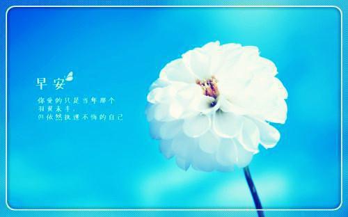 柒瑶楚怀谌什么小说 柒瑶楚怀谌全文免费阅读