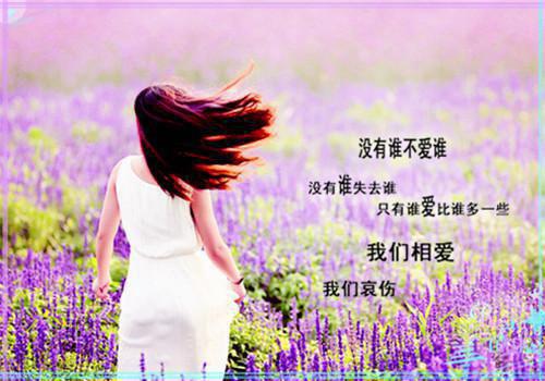 沈知行林婉儿小说最新章节 沈知行林婉儿免费阅读