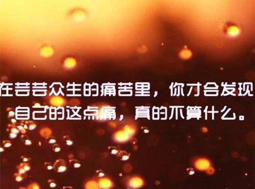 姜茵林砚小说 姜茵林砚免费章节阅读