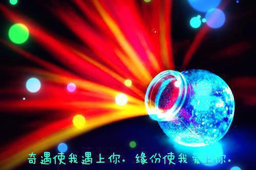 陆敬轩江月谢凌川完整未删减版在线阅读 陆敬轩江月谢凌川结局