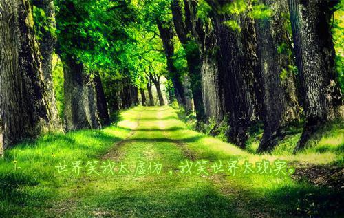 陆凛舟陈阮柔的小说 爱在遗忘时小说免费阅读