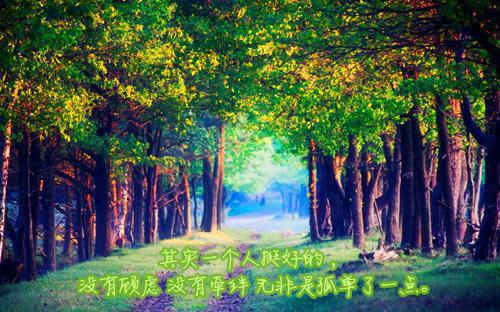 嫁给无根老公后，我舔了十年的佛子总裁急红了眼在线赏析（沈南乔傅思年沈若兰）最新推荐_最新推荐嫁给无根老公后，我舔了十年的佛子总裁急红了眼在线赏析（沈南乔傅思年沈若兰）