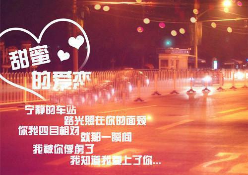 顾言迟陆枭全文最新章节正版小说免费阅读