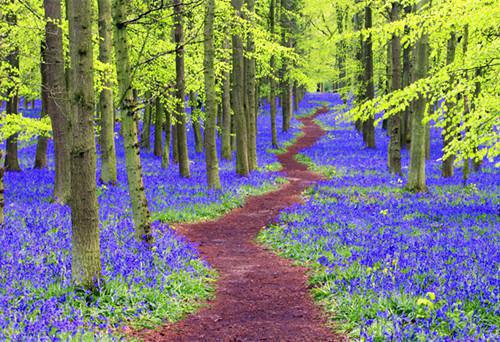 孙静姝孙秀才哪里可以看 孙静姝孙秀才免费阅读第9章