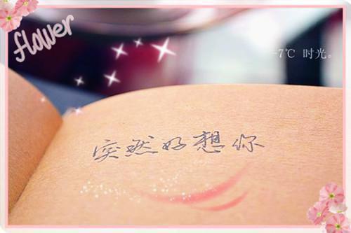 林子浩沈慕月全文阅读 林子浩沈慕月小说最新章节