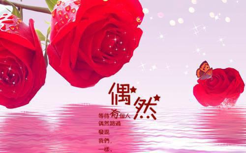 年年好花不相负在线阅读 周若年秦若兰霍思域小说