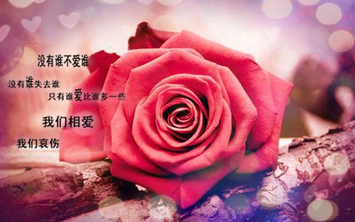 如果你的遗憾也还在：完结+结局+番外（如果你的遗憾也还在季南辞喻灵：完结+结局+番外）