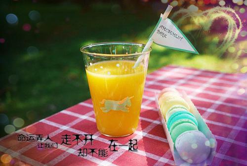 宋青禾徐楚尧小说 宋青禾徐楚尧免费章节阅读