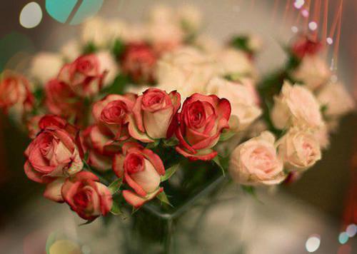 温旎简予琛免费阅读 温旎简予琛最新章节目录