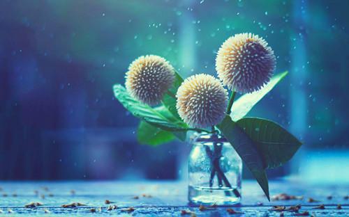 社畜的我，有个病娇妹妹林深柳熙无广告小说免费在线阅读