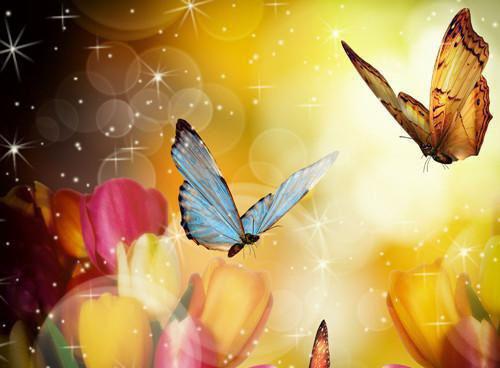 小六耀祖的小说 小六耀祖全文免费阅读