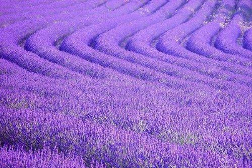 林茉茉赵野免费全文无弹窗 得知我双十一消费12万8想上位的贫困生破小说在线阅读