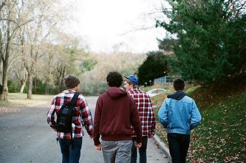 (抖音小说)洛羽宁纪悠悠小说全文阅读免费