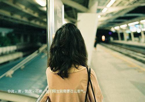 丈夫助理抢坐朱雀台后，我拍光全部藏品免费章节抢先阅读