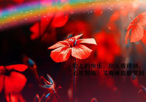 首长！老太太给你娶了资本家小姐最新更新 温金枝秦宴驰小说在线阅读