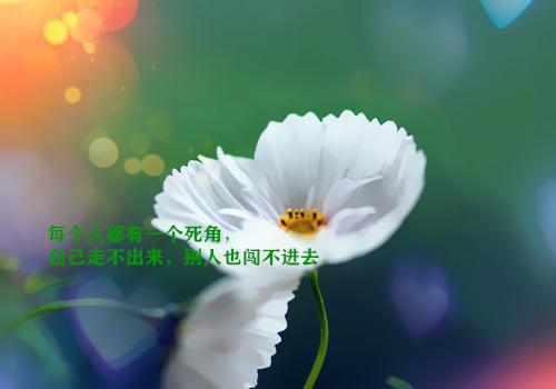 主角唐宁微靳司尧小说 唐宁微靳司尧小说全文免费阅读