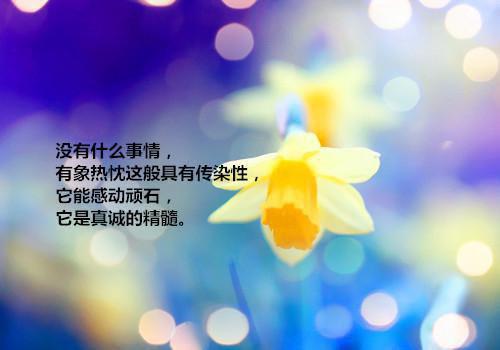 拒守秘境后，苦等白月光的道侣疯了最新更新 陆凌沈照免费读