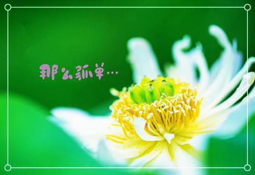 魏町周小说叫什么名字 魏町周全文免费阅读