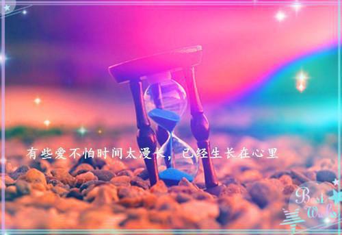 顾明渊薇薇是啥小说 顾明渊薇薇免费阅读无广告