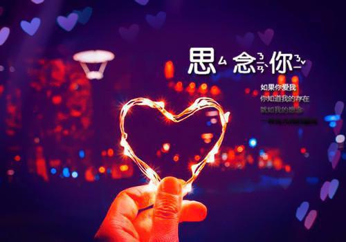 沈知景夏晴白洛洛小说全免读 沈知景夏晴白洛洛第1章在线阅读