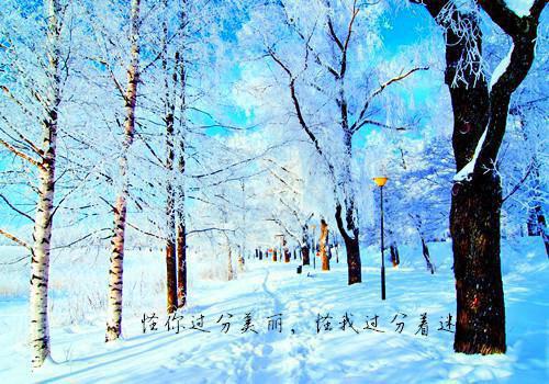 主角江冉陈哲明小说 江冉陈哲明小说全文免费阅读