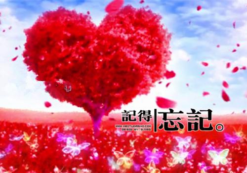 陆淮州沈雯免费章节最新 老公嫌我做酒店试睡员丢人，我拉黑他全球酒店入住资格by喵喵鱼