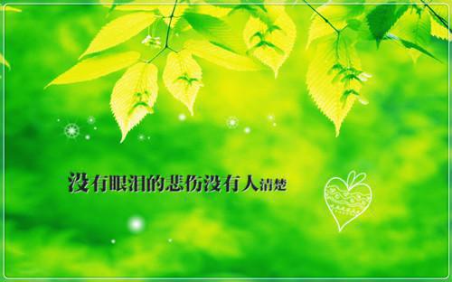 折寒枝簪起霜思：后续全文小说(沈棠眠林今安宋闻璟)章节阅读