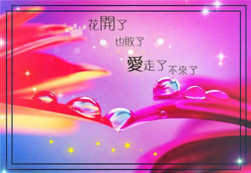 拍卖会上妻子为助理点天灯，我选择一跟到底小说免费阅读首发小说 沈重杨吱吱王阳在线阅读
