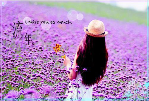 傅屿傅时安的小说 傅屿傅时安全文免费阅读