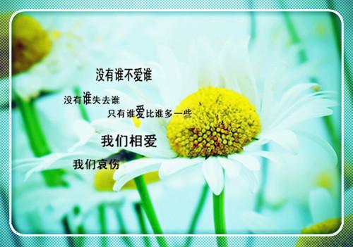 秦羽柳玉香免费小说 秦羽柳玉香完结版在线阅读