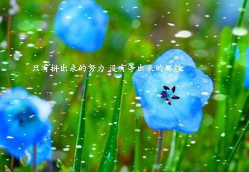 林周屿川小说章节目录 林周屿川免费阅读第3章