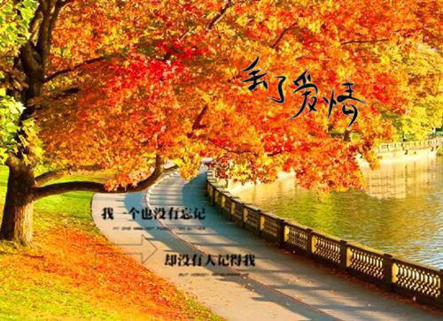 (抖音小说)时序郑舒珩曲悠免费阅读第7章