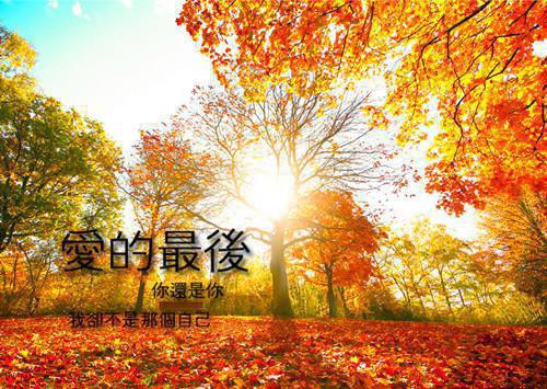 心上宠现已上架（宋轻语傅晏）全文免费_（宋轻语傅晏）心上宠现已上架后续阅读（宋轻语傅晏）